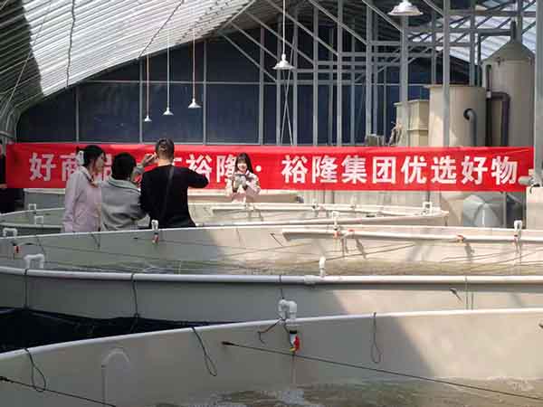 養(yǎng)魚大棚